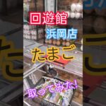 クレーンゲーム 回遊館浜岡店 たまご 取ってみた！ #クレーンゲーム #ufoキャッチャー #フック #たまご #攻略 #回遊館 #回遊館浜岡店 #opw