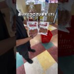 【クレーンゲーム誰かに教えてみた】