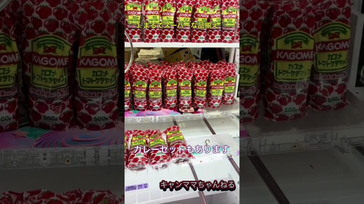 えっ!? クレーンゲームでこんな物まで取れるの!?