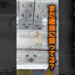 【クレーンゲーム】まだ適当に狙ってる？運だけじゃ損するフック設定攻略