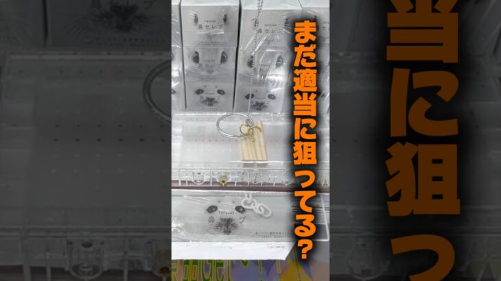 【クレーンゲーム】まだ適当に狙ってる？運だけじゃ損するフック設定攻略