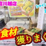 【高級食材を取る方法】クレーンゲーム激戦区のお店にある高額食材の景品を取るコツを紹介 【万代書店川越店】