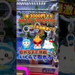 【ゲーセン】超激レアのめじるしアクセサリーがクレーンゲームに入っていたので、取れるまで挑戦してみた🔥