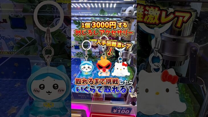 【ゲーセン】超激レアのめじるしアクセサリーがクレーンゲームに入っていたので、取れるまで挑戦してみた🔥