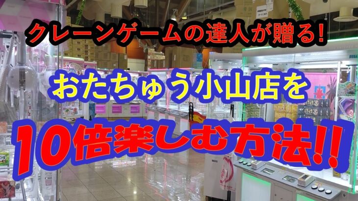 【実戦店舗攻略&爆獲爽快動画】クレーンゲームの達人２人が、栃木県の名店　おたちゅう小山店で、最新のリング&橋渡し設定を中心に様々な人気景品を１５連発爆獲します❗クレゲはやっぱり楽しくなきゃね♡