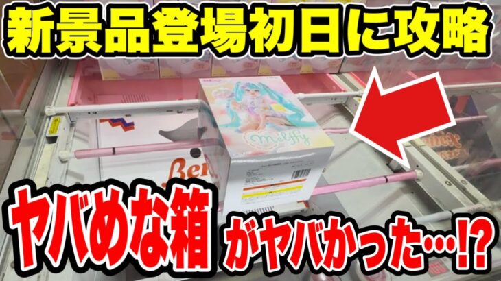 最新プライズ登場初日攻略！クセの強い難箱に挑戦したらヤバすぎた！？🔥【クレーンゲーム】