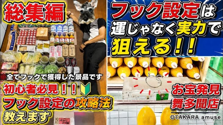 【総集編】初心者にも優しいと感じるフック設定を攻略してきた【ゲームセンター】