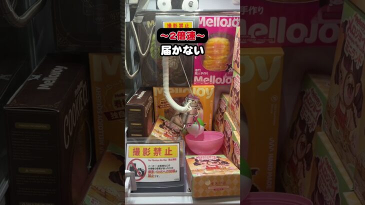 メロジョイを「裏技」を使って取ってみた🔥 #ゲームセンター #クレーンゲーム #ゲーセン #メロジョイ