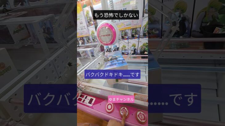 【クレーンゲーム】ナムコの橋渡しは倉庫系比べるほど簡単じゃありません！の巻 #クレーンゲーム #プライズ獲得 #ゲームセンター #白い世界の橋渡し