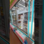 【要チェック】知ってると取れるようになります！クレーンゲーム、レバー式のフック設定で使えるテクニック、ぜひ活用してみてください #クレーンゲーム #フック #攻略