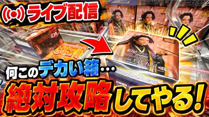 【クレーンゲーム配信】デカ箱を攻略するので見守って、、【ハピピランドこどもの国店】