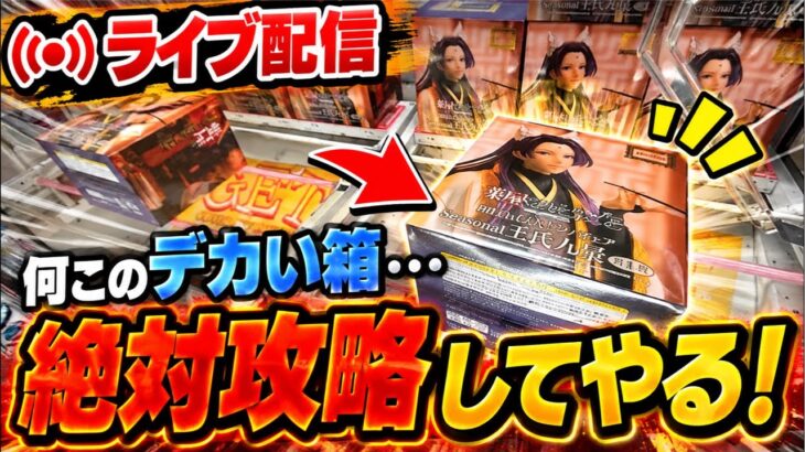 【クレーンゲーム配信】必見！これを見てデカ箱攻略すべし！【ハピピランドこどもの国店】