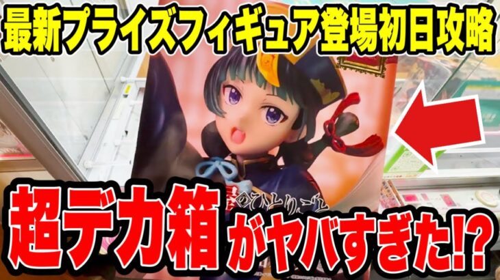 【クレーンゲーム】薬屋のひとりごと・猫猫＆壬氏の超デカ箱がヤバすぎた！？最新プライズ登場初日攻略🔥