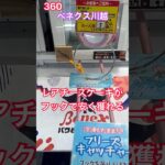 フックでレアチーズケーキを獲ってみよ #クレーンゲーム #ベネクス #ベネクス川越 #ベネどれ