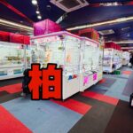 クレーンゲーム実践１万円で勝ちに行く