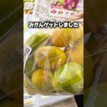 【クレーンゲーム】こんなゲーセン見たことない！？遊とぴあ新潟店がすごすぎた🔥