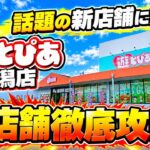 【クレーンゲーム】遊とぴあ新潟店にグランドオープン前潜入！話題の新店舗を徹底攻略🔥