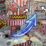 わなげキャッチャーの最上段「特賞」って本当に入るのか？