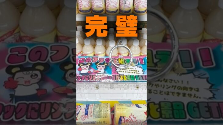 【クレーンゲーム】レバー式フック設定は“ぐるぐるアタック”で取れ！遊とぴあ新潟店を徹底攻略🔥