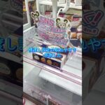 クレーンゲーム遠征シリーズ🦸おたちゅう新潟本店さん初訪問🙌✨#おたちゅう新潟本店