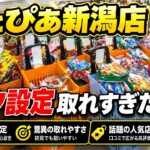 フック設定攻略！これ知らないと一生取れません！遊とぴあ新潟【クレーンゲーム】