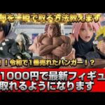 最新プライズを一瞬で取る方法を教えます！勇次郎ハンガーは投げれば取れるのか！？徹底検証！【クレーンゲーム攻略】