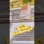 【クレーンゲーム】こんな形からでも一手🦆【攻略】
