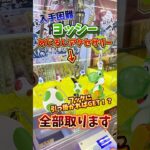 【ゲーセン】入手困難なヨッシーのめじるしアクセサリーをフック設定で見つけたので、全部取るまで挑戦してみた🔥