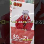 【クレーンゲーム】最新プライズフィギュア登場初日攻略！犬夜叉ぬーどるストッパーフィギュアに挑戦🔥