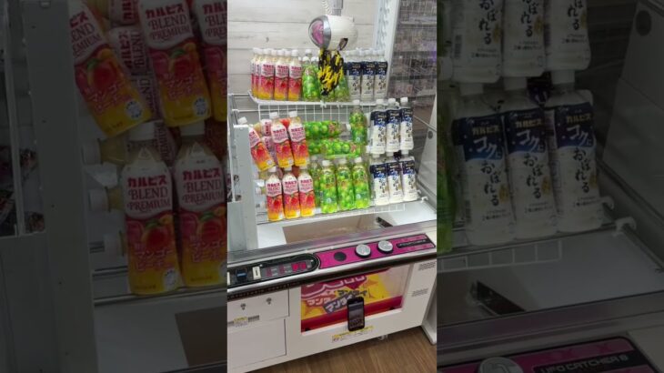 取りすぎてごめんなさいww#shorts #クレーンゲーム #ufoキャッチャー #ゲーセン #clawmachine #arcade #funny #tiktok