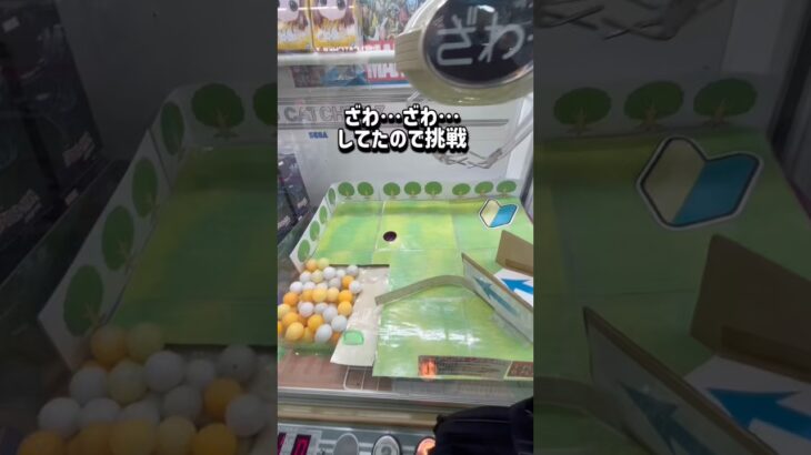なにこれwwwクレゲの世界を発信中🌍チャンネル登録お願いします！ #クレーンゲーム #ゲームセンター #ufoキャッチャー #クレゲ #clawmachine #攻略 #shorts